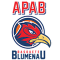Basquete Blumenau team logo 