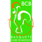 Basquete C Barcelos team logo 