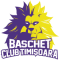 BC Timisoara team logo 