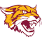 Bethune Cookman Wildcats