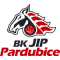 BK Synthesia Pardubice team logo 