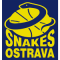 BK Snakes Ostrava team logo 