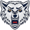 BK Wolves Radotin team logo 