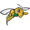 Black Hills State Yellow Jackets