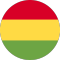 Bolivia team logo 