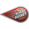 Boraas Basket team logo 