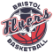 Bristol Flyers team logo 