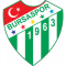 Bursaspor team logo 