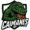 Caimanes Del Llano team logo 