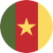 Cameroon team logo 