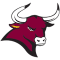 Colorado Mesa Mavericks team logo 