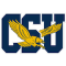 Coppin State team logo 