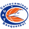 Correcaminos Victoria team logo 