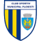 CSM Ploiesti team logo 