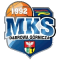 MKS Dabrowa Gornicza team logo 