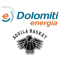 Dolomiti Energia Trento team logo 