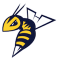 Edmonton Stingers team logo 
