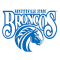 Fayetteville State Broncos team logo 