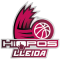 Forca Lleida CE team logo 