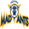 Fort Wayne Mad Ants team logo 