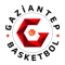 Gaziantep team logo 