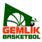 Arkan Gemlik Basketbol team logo 