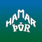 Hamar Thor team logo 