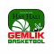 Has Hali Gemlik team logo 