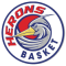 Herons Basket Montecatini