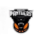Indian Panthers team logo 