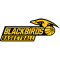 Gussing/Jennersdorf Blackbirds team logo 