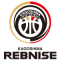 Kagoshima Rebnise team logo 