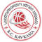 Kavkasia BC team logo 