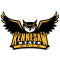 Kennesaw State Owls team logo 