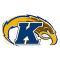 Kent State Golden Flashes team logo 