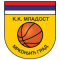 Mladost Mrkonjic team logo 