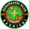 Kk Radnicki Gorazde team logo 