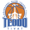 KK Teodo Tivat team logo 