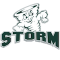 Lake Erie Storm team logo 