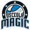 Lakeland Magic team logo 