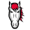 Leicester Riders