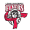 Lewis Flyers team logo 