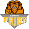 Limpopo Pride team logo 