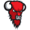 Nilan Bisons Loimaa team logo 