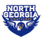 North Georgia Nighthawks team logo 