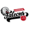 Nuremberga Falcons BC team logo 