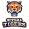 Oppsal Tigers 1 team logo 