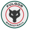 Fulgor Omegna Basket team logo 