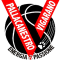 ASD Pallacanestro Vigarano team logo 