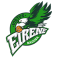 Virtus Eirene Ragusa team logo 